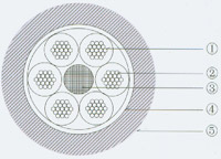 多芯汽車線(圖3)